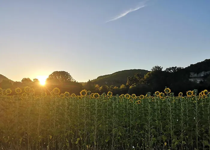 Charmante Maison A La Campagne * Saint-Crépin-et-Carlucet